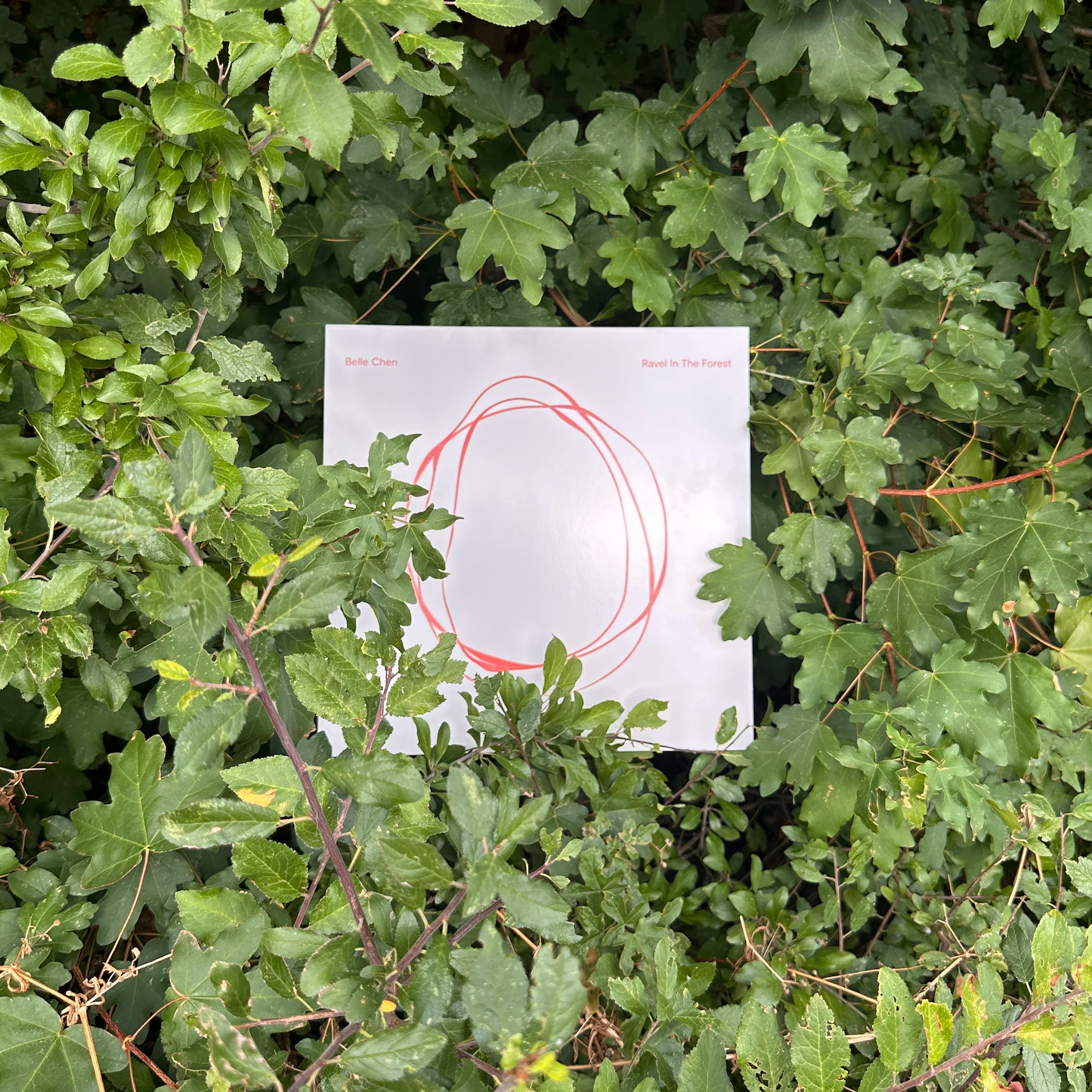 Vinyl - Ravel in the Forest