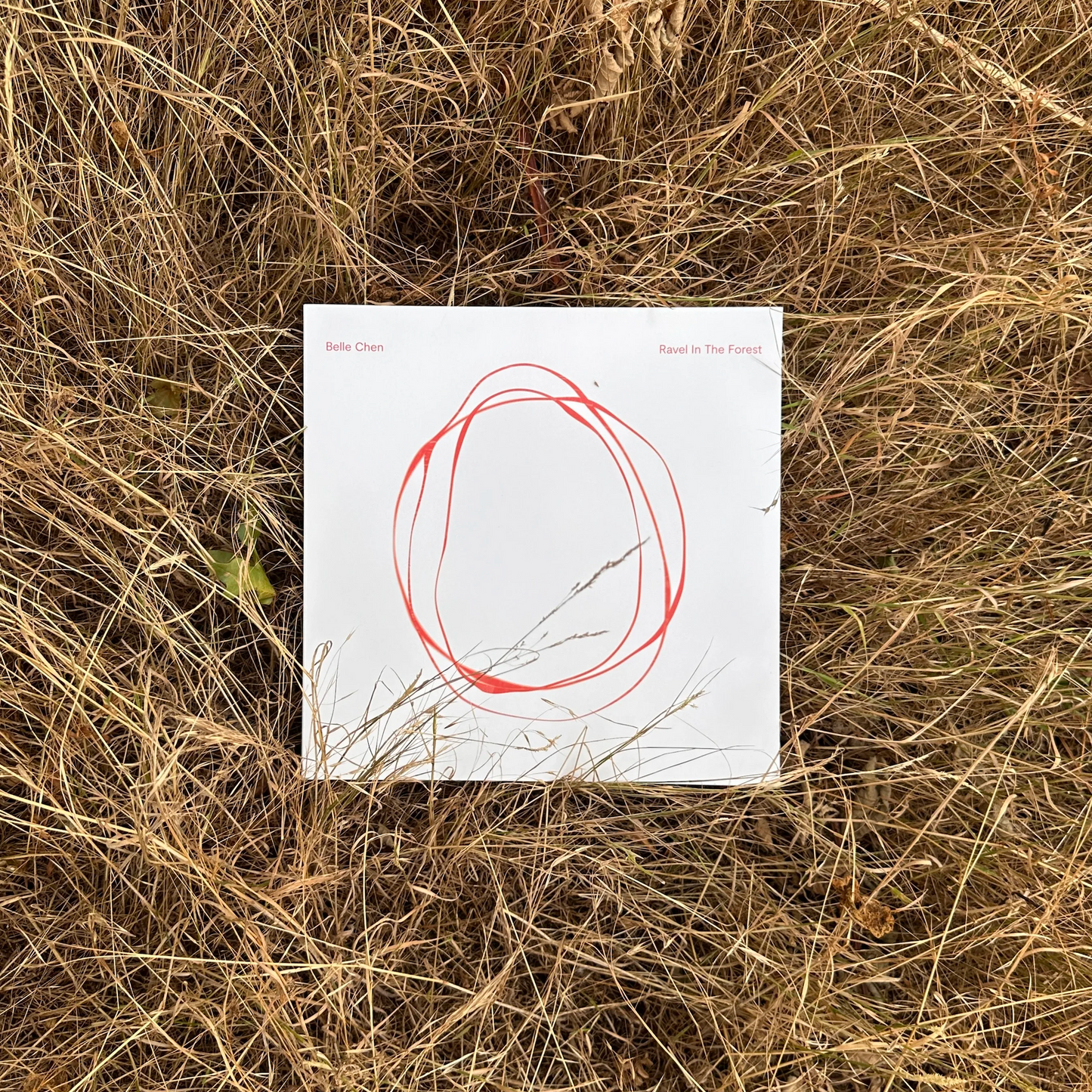 Vinyl - Ravel in the Forest